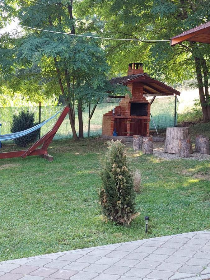 Pensiunea Sonia Cîrţişoara Exterior foto