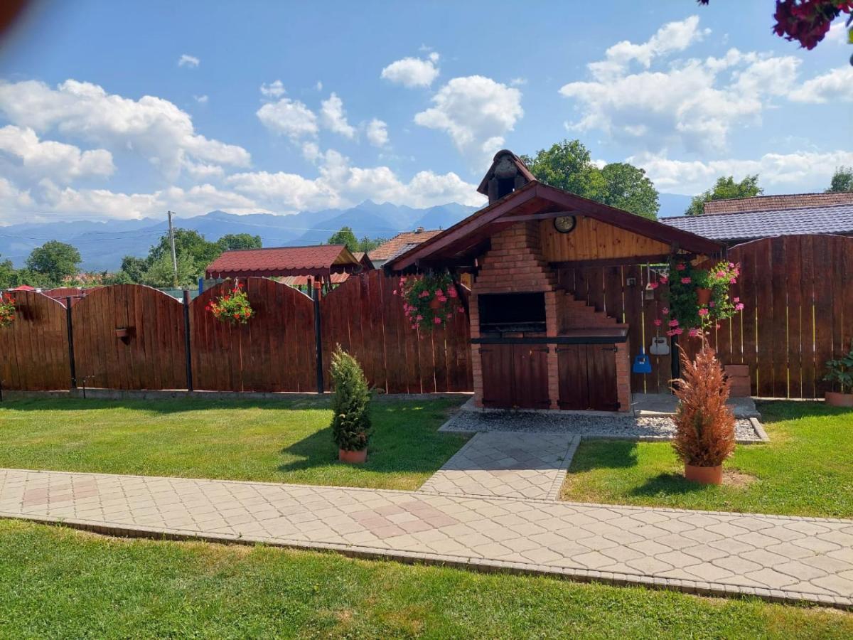 Pensiunea Sonia Cîrţişoara Exterior foto