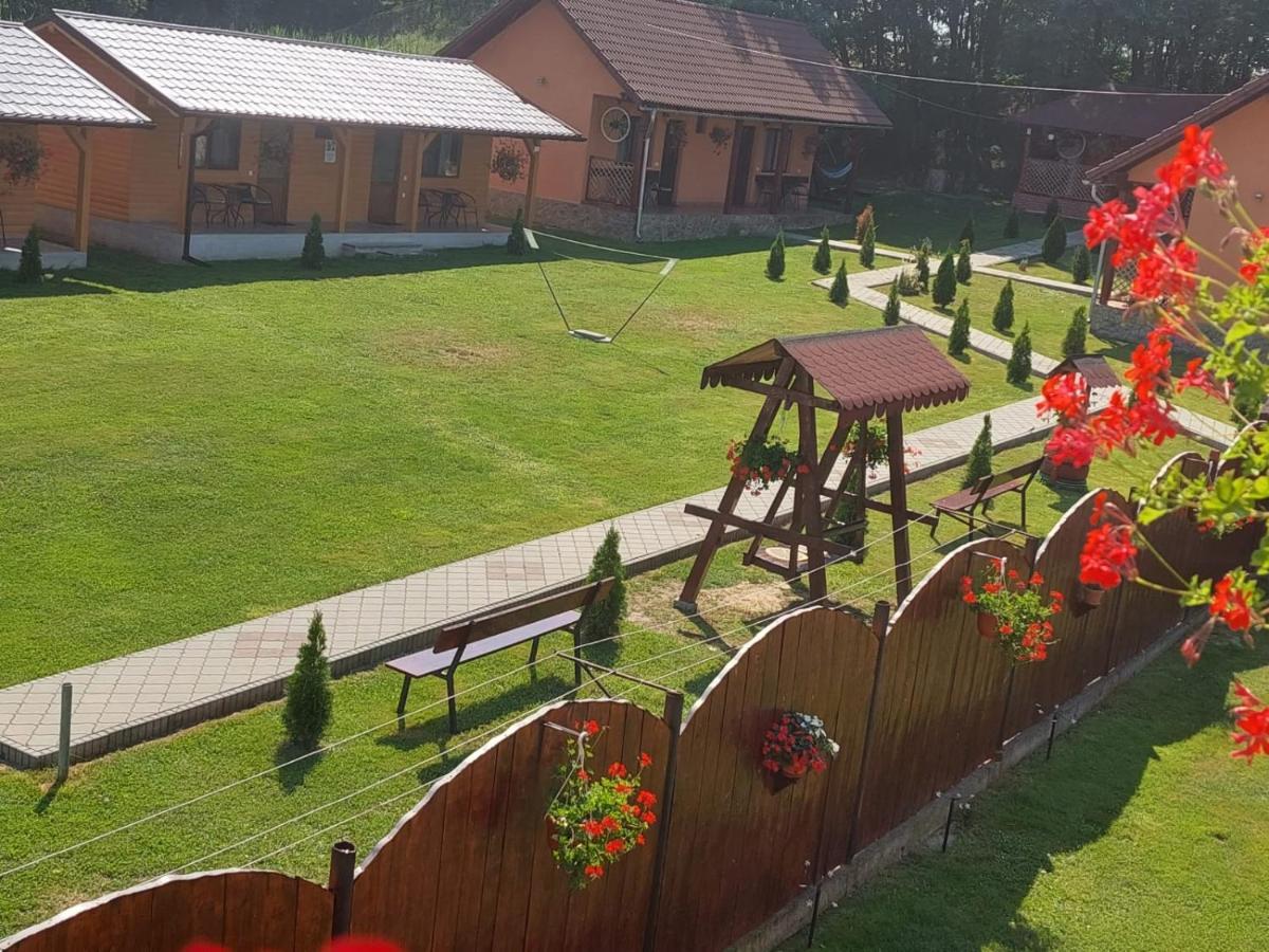 Pensiunea Sonia Cîrţişoara Exterior foto