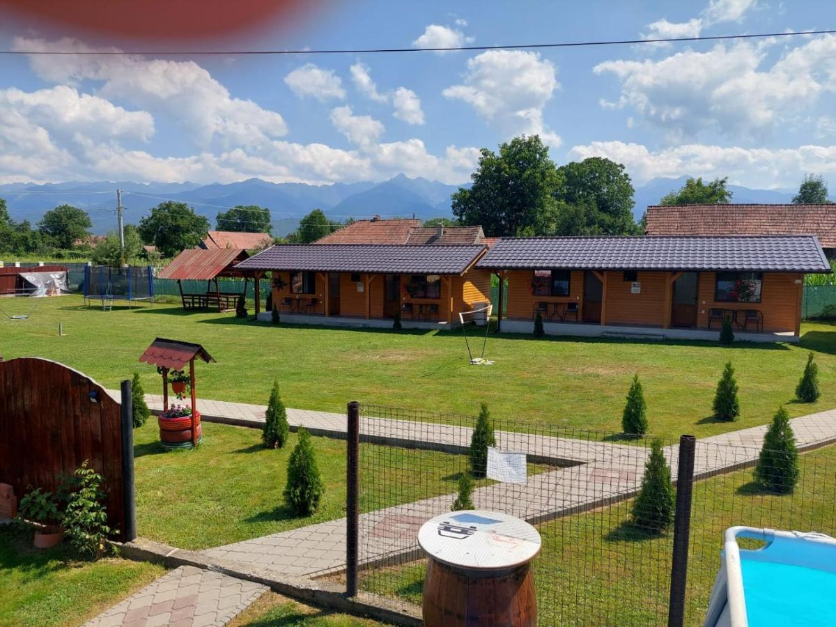 Pensiunea Sonia Cîrţişoara Exterior foto