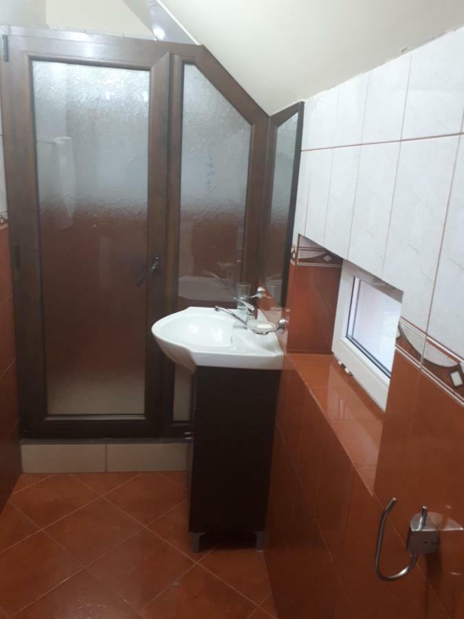 Pensiunea Sonia Cîrţişoara Exterior foto